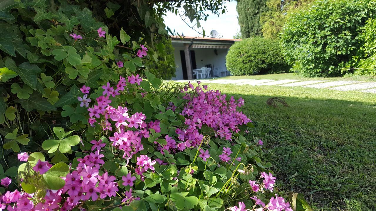 Italsol Residence Riai Moniga del Garda Eksteriør bilde